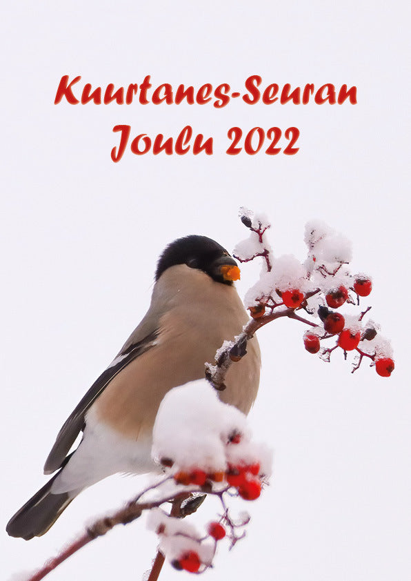 Kuurtanes-Seuran Joulu 2022