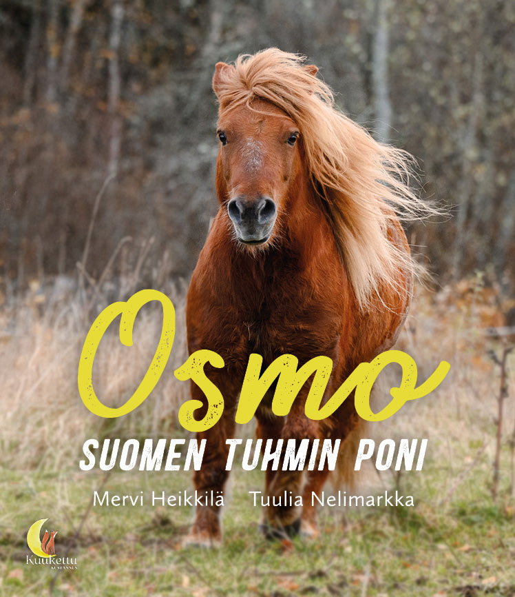 Suomen-tuhmin-poni-Osmo
