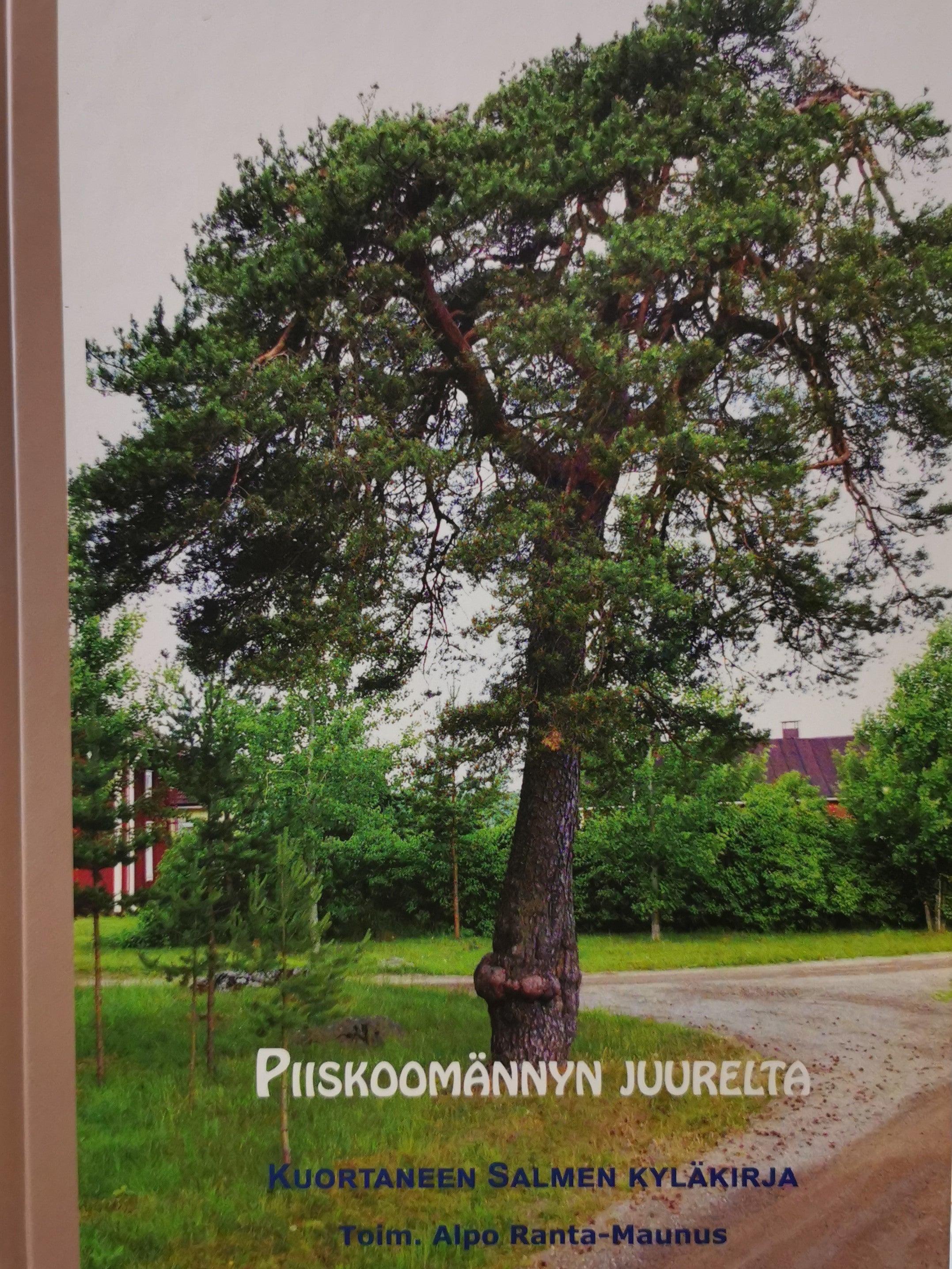 Salmen kyläkirja - Piiskoomännyn juurelta