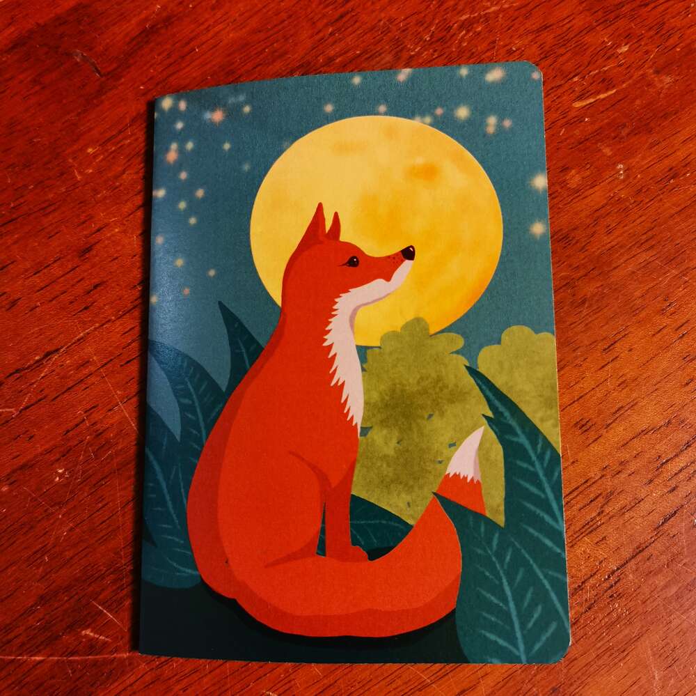 Vihko A6/10 - Kuukettu